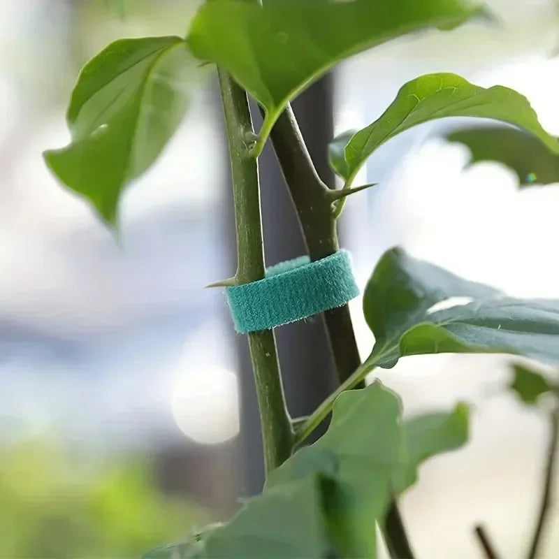 Self-Adhesive Green Plant Cable Ties – Adjustable & Reusable Garden Fasteners