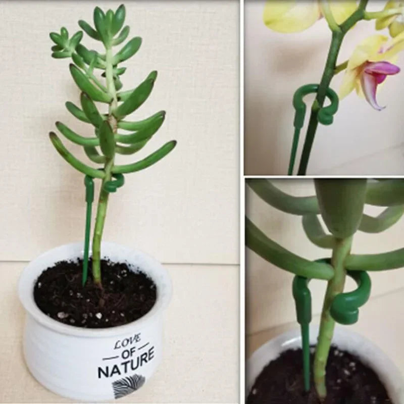 Plant Supports Stakes Flower Stand Sticks