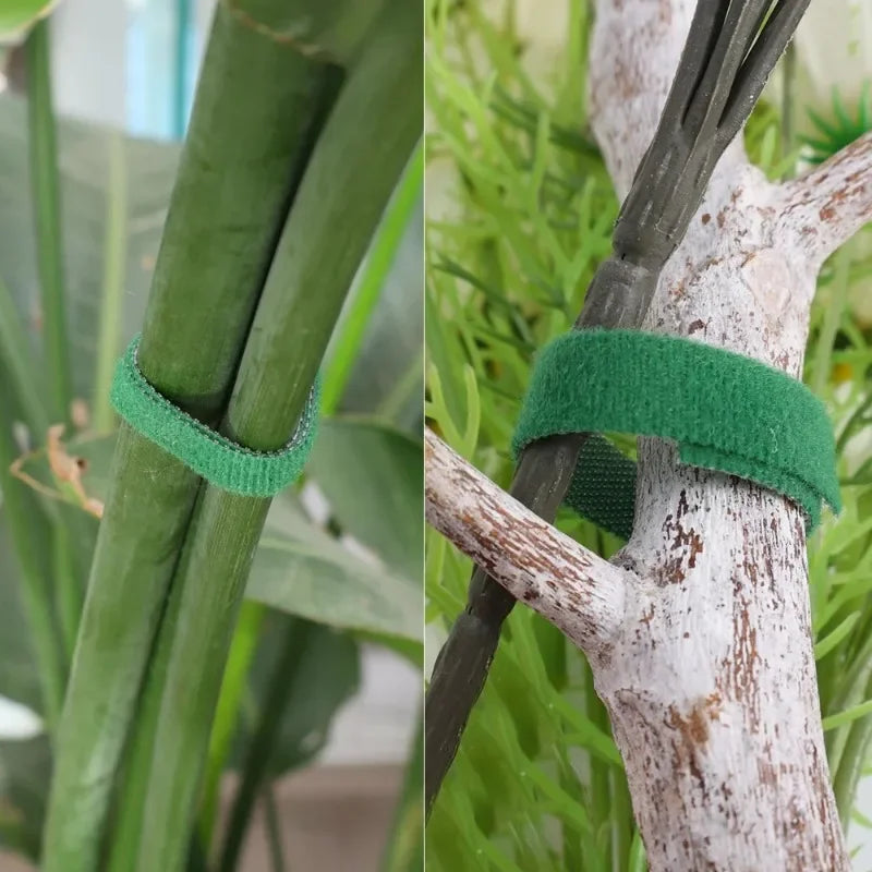 Self-Adhesive Green Plant Cable Ties – Adjustable & Reusable Garden Fasteners