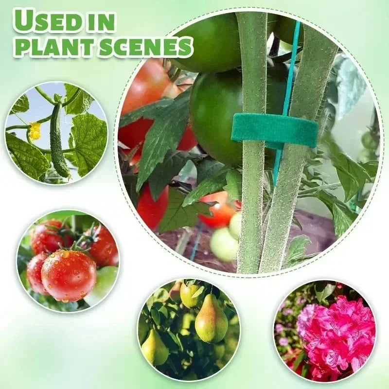 Self-Adhesive Green Plant Cable Ties – Adjustable & Reusable Garden Fasteners